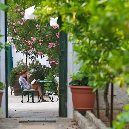 Masseria Il Frantoio *