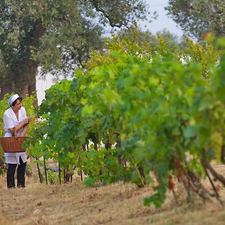 Masseria Il Frantoio Çiftlik konaklama *